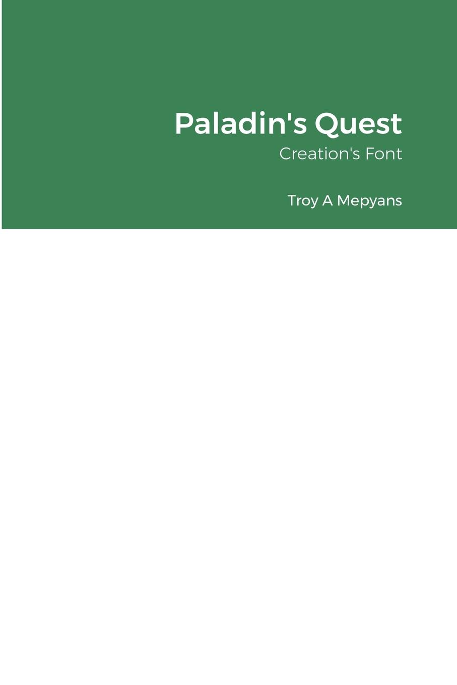 Buch Paladin's Quest Troy Mepyans