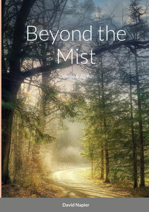 Buch Beyond the Mist David Napier
