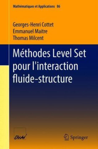 Könyv Methodes Level Set Pour l'Interaction Fluide-Structure Emmanuel Maitre