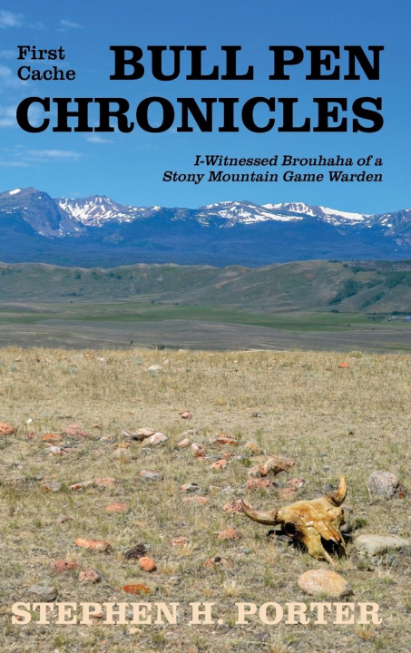 Book Bull Pen Chronicles Stephen Porter