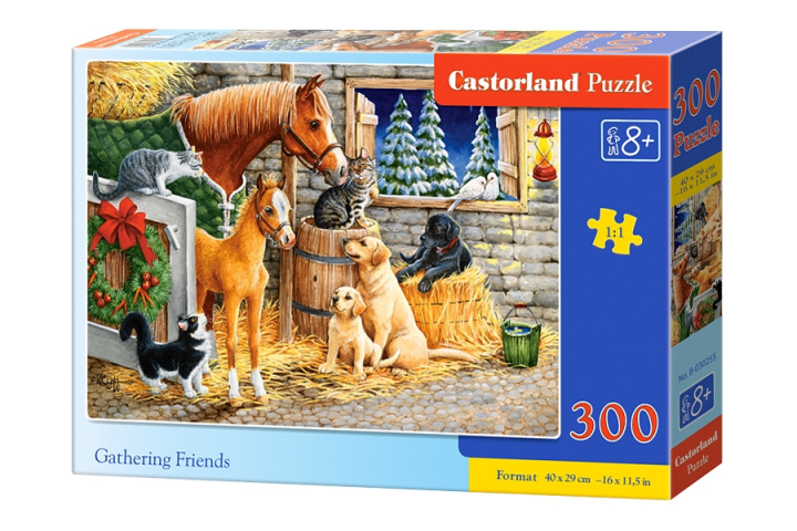 Game/Toy Puzzle 300 Zebranie przyjaciół B-030255 