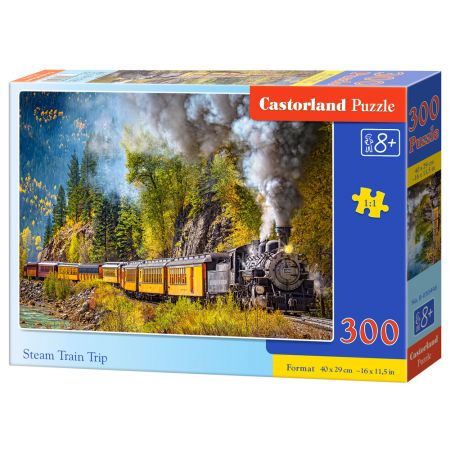 Könyv Puzzle 300 Wycieczka pociągiem parowym B-030446 