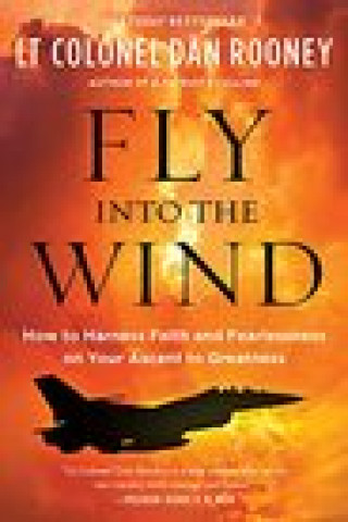 Buch Fly Into the Wind Dan Rooney