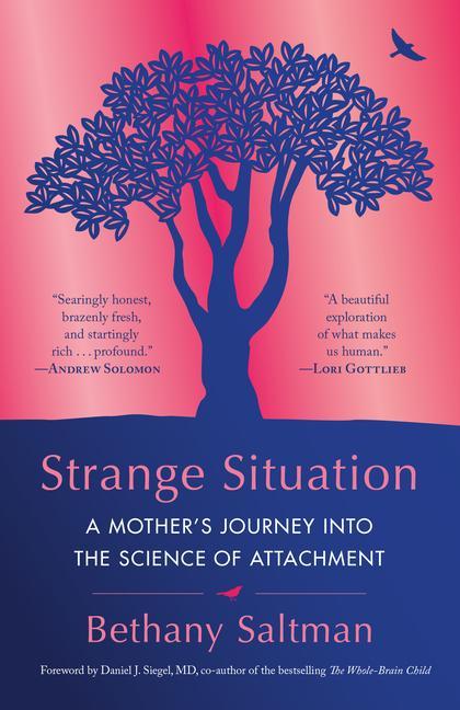Kniha Strange Situation 