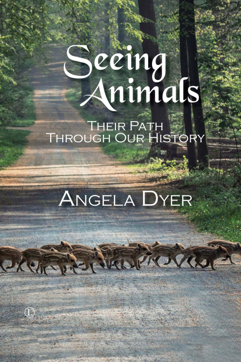 Knjiga Seeing Animals Angela Dyer