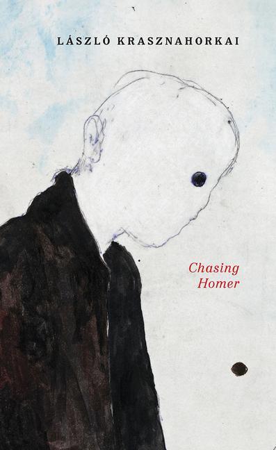 Kniha Chasing Homer John Batki