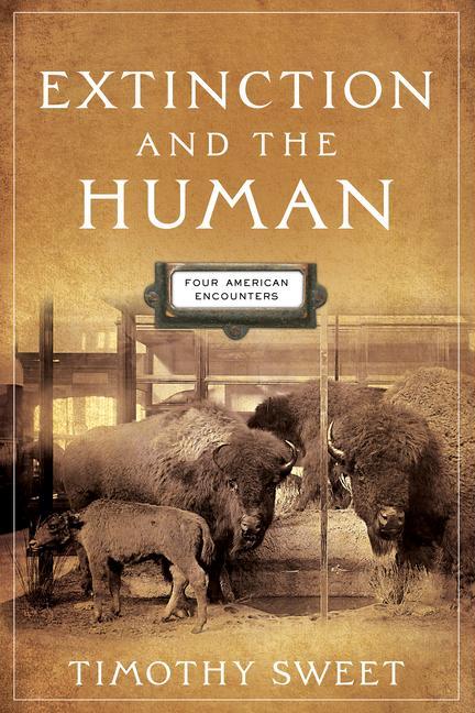 Könyv Extinction and the Human 