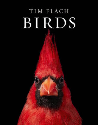 Książka Birds Richard Prum