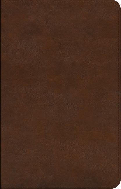 Kniha ESV Concise Study Bible (TM) 