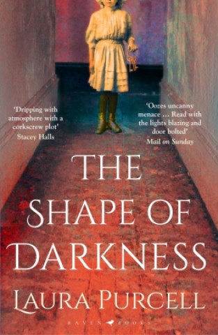 Book Shape of Darkness Laura Purcell
