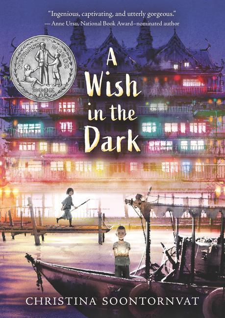 Buch A Wish in the Dark 