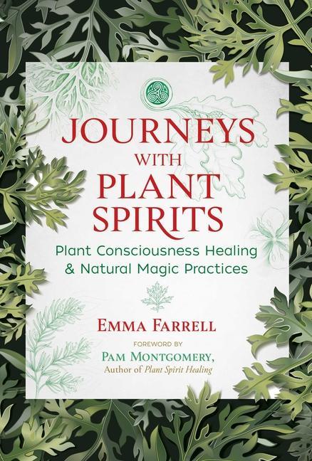 Kniha Journeys with Plant Spirits Pam Montgomery