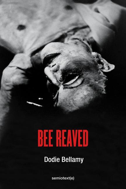 Buch Bee Reaved Dodie Bellamy