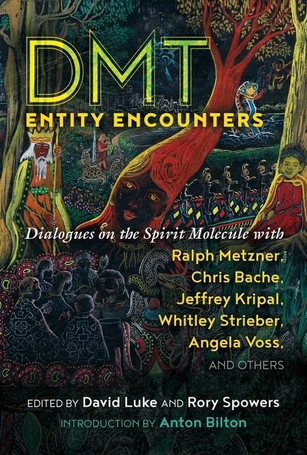 Könyv DMT Entity Encounters Rory Spowers