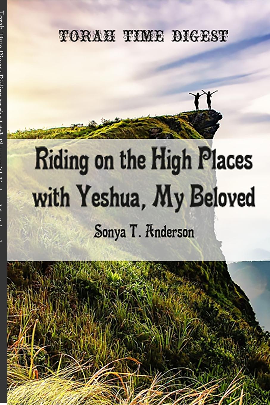 Kniha Torah Time Digest Sonya T. Anderson