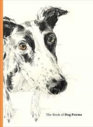 Kniha Book of Dog Poems Sarah Maycock