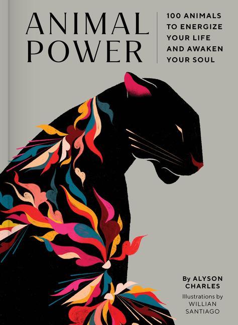 Kniha Animal Power Willian Santiago