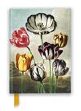 Calendário/Diário Temple of Flora: Tulips (Foiled Journal) Flame Tree Studio