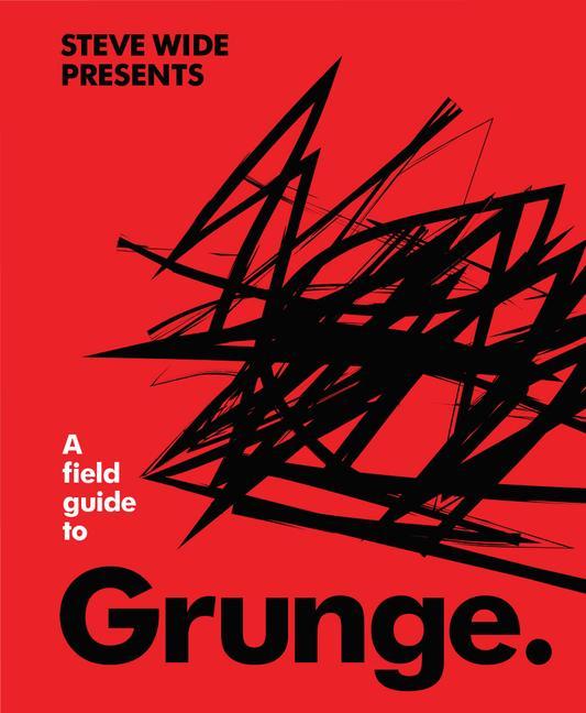 Kniha Field Guide to Grunge 