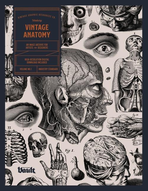 Книга Vintage Anatomy 