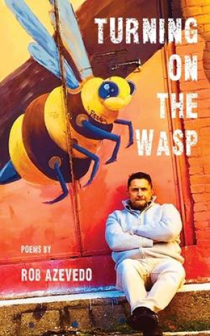 Buch Turning on the Wasp Jason Ryberg