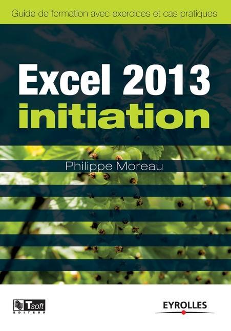 Boek Excel 2013 initiation Philippe Moreau