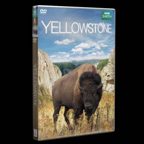 Knjiga Yellowstone - DVD 