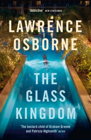 Kniha Glass Kingdom 