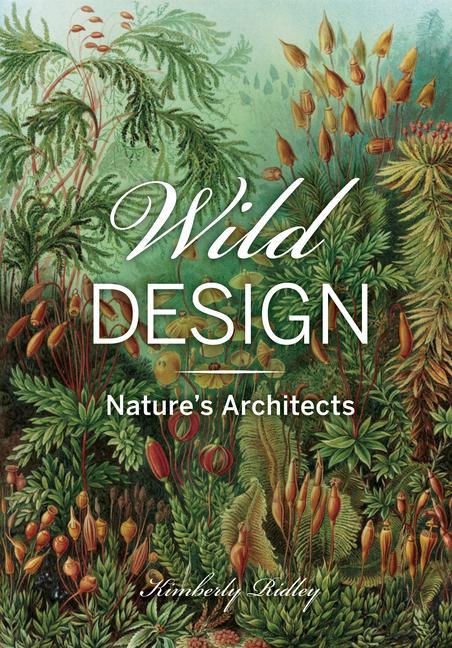 Kniha Wild Design 