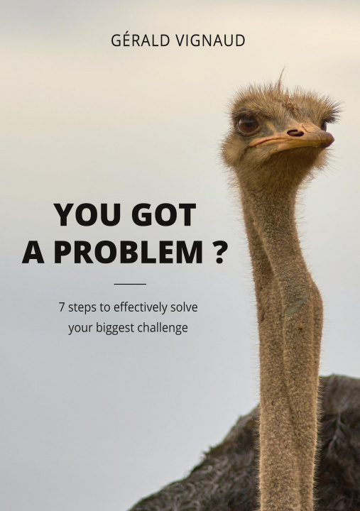 Knjiga You got a problem ? Gérald Vignaud