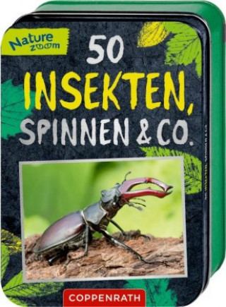 Carte 50 Insekten, Spinnen & Co. Manfred Rohrbeck