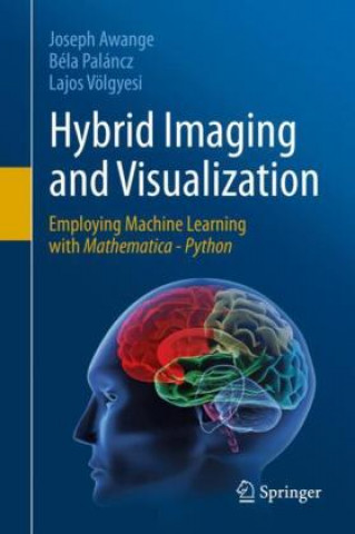 Knjiga Hybrid Imaging and Visualization Béla Paláncz
