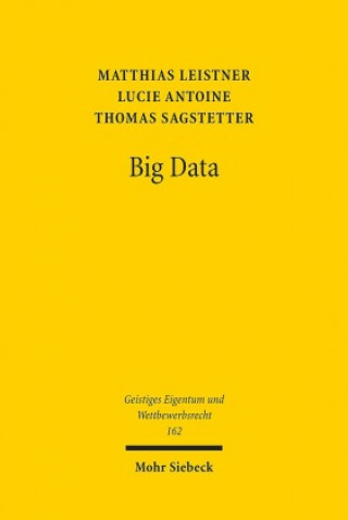 Buch Big Data Lucie Antoine