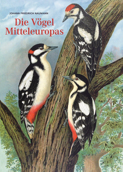 Kniha Johann Friedrich Naumann - Die Vögel Mitteleuropas Juliane Steinbrecher