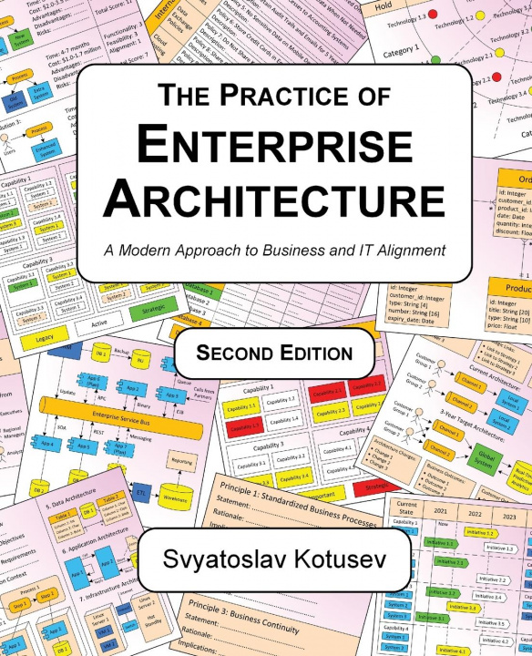 Kniha Practice of Enterprise Architecture 
