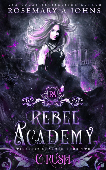 Kniha Rebel Academy Crush 