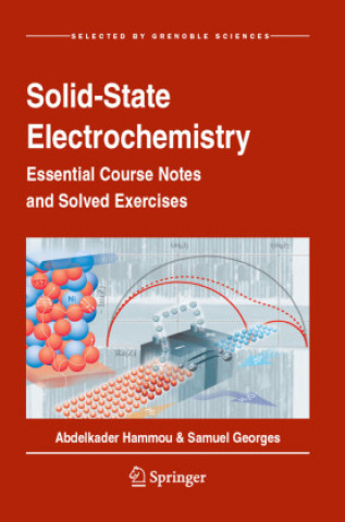Knjiga Solid-State Electrochemistry Abdelkader Hammou
