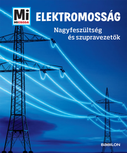 Knjiga Elektromosság Laura Hennemann