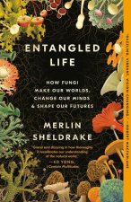 Könyv Entangled Life: How Fungi Make Our Worlds, Change Our Minds & Shape Our Futures Merlin Sheldrake
