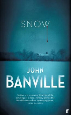 Knjiga Snow John Banville
