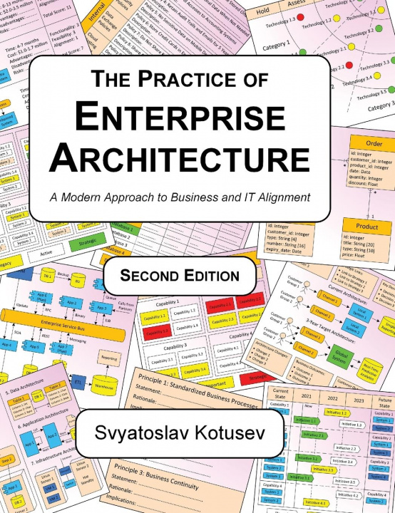 Kniha Practice of Enterprise Architecture 