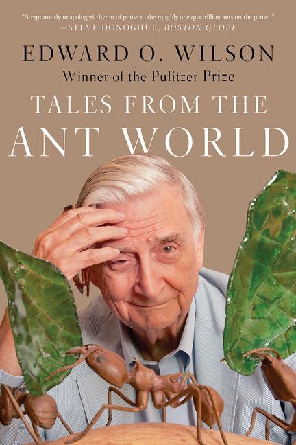 Könyv Tales from the Ant World 