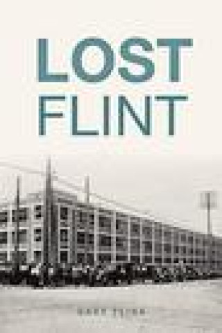 Book Lost Flint Flinn