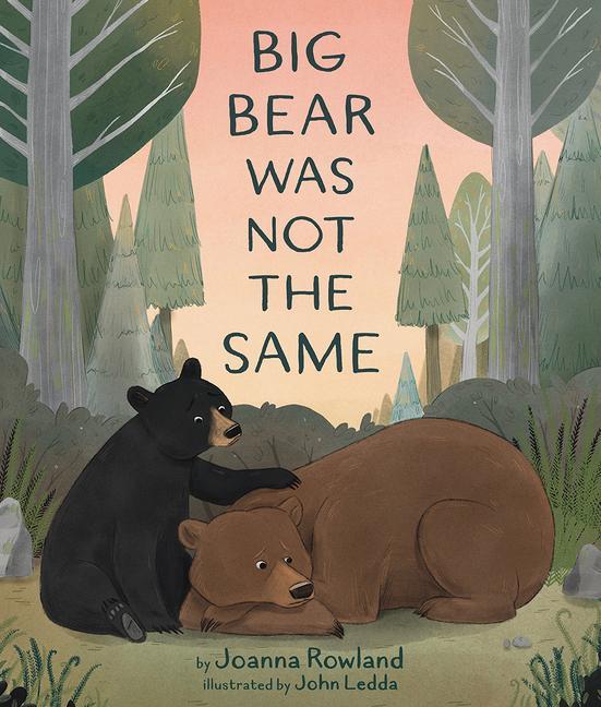 Knjiga Big Bear Was Not the Same John Ledda