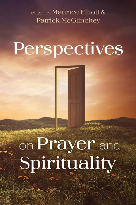 Knjiga Perspectives on Prayer and Spirituality Patrick McGlinchey