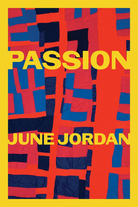 Kniha Passion June Jordan