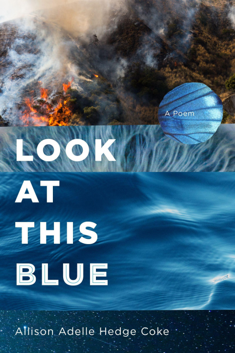 Book Look at This Blue Allison Adelle Hedge Coke
