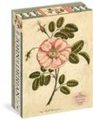 Kniha John Derian Paper Goods: Garden Rose 1,000-Piece Puzzle John Derian