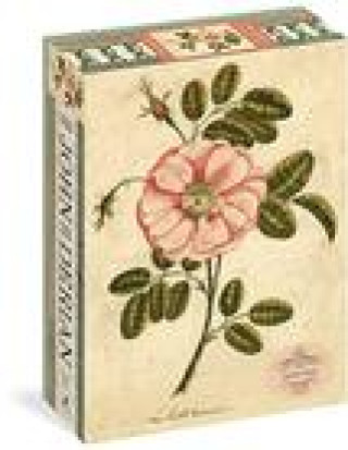 Książka John Derian Paper Goods: Garden Rose 1,000-Piece Puzzle John Derian