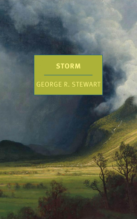 Kniha Storm Nathaniel Rich
